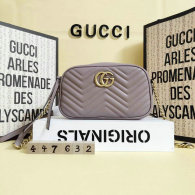 Gucci Handbag AAA (160)
