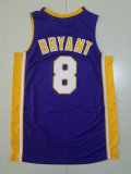 Los Angeles Lakers NBA Jersey (17)