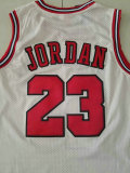 Chicago Bulls NBA Jersey (5)