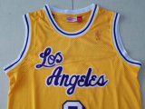 Los Angeles Lakers NBA Jersey (31)