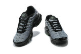 Air Max Plus Shoes - 039