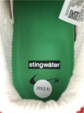 Authentic Stingwater x Nike SB Dunk Low “Magic Mushroom”