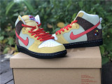 Authentic Color Skates x Nike SB Dunk High Kebab and Destroy