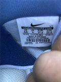 Authentic Nike SB Dunk Low Premium