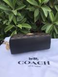 Coach AAA Quality Bag (5)