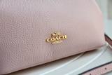 Coach AAA Quality Bag (4)