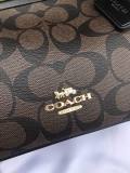 Coach AAA Quality Bag (5)