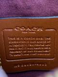 Coach AAA Quality Bag (16)
