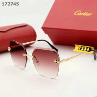 Cartier Sunglasses AA quality (119)