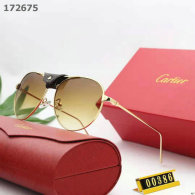 Cartier Sunglasses AA quality (49)