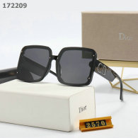 Dior Sunglasses AA quality (108)