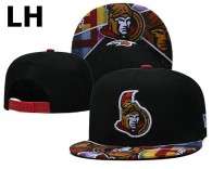 NHL Ottawa Senators Snapback Hat (1)