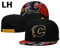 NHL Calgary Flames Snapback Hat (1)