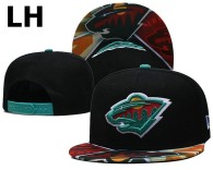 NHL Minnesota Wild Snapback Hat (1)