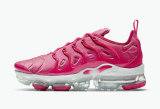 Nike Air VaporMax Plus Women Shoes (19)