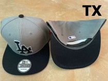 MLB Los Angeles Dodgers Snapback Hat (303)