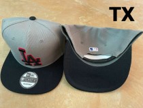 MLB Los Angeles Dodgers Snapback Hat (304)