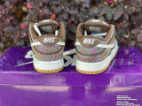 Authentic Nike SB Dunk Low “Paisley” Brown