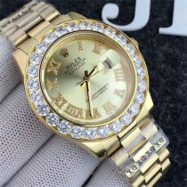 Rolex Watches (1043)