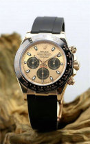 Rolex Watches (1155)