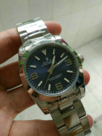 Rolex Watches (1362)