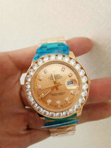 Rolex Watches (1108)