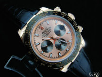 Rolex Watches (1224)