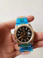Rolex Watches (1447)