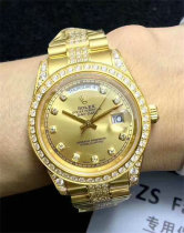 Rolex Watches (891)