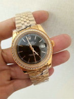 Rolex Watches (1124)