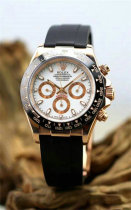 Rolex Watches (1156)