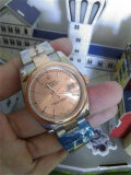 Rolex Watches (1374)
