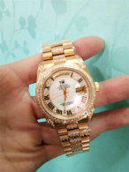Rolex Watches (855)