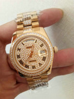 Rolex Watches (858)