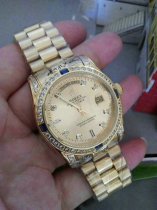 Rolex Watches (929)