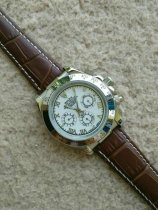 Rolex Watches (1253)