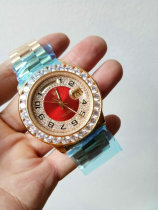 Rolex Watches (894)