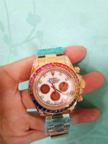 Rolex Watches (904)