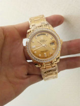 Rolex Watches (1112)