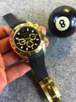 Rolex Watches (1366)