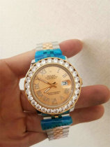 Rolex Watches (1105)