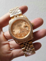 Rolex Watches (896)