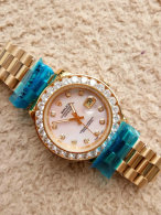 Rolex Watches (982)