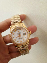 Rolex Watches (1106)