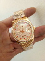 Rolex Watches (953)