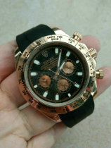 Rolex Watches (1286)