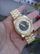 Rolex Watches (1003)