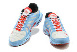 Nike Air Max Terrascape Plus Shoes (3)