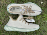 Authentic Y 350 V2 Brown/Green