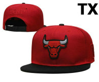 NBA Chicago Bulls Snapback Hat (1304)